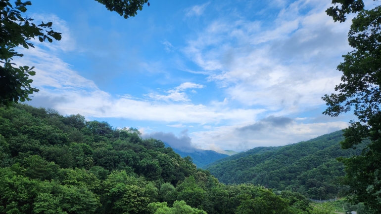 웰빙부동산